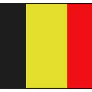Belgische vlag 20x30