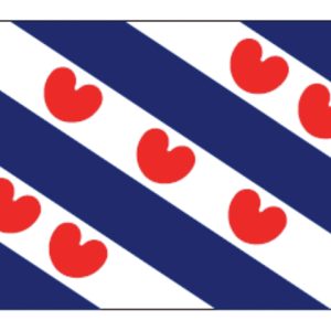 Friese vlag 50x75