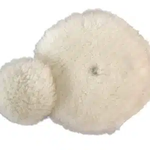 RS Lamsvel polijstschijf 165 mm